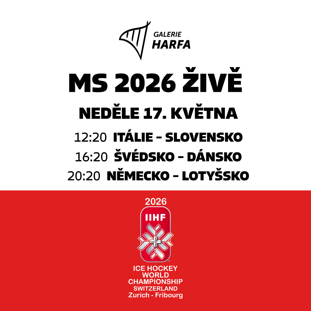 MS V HOKEJI 2026 - PROGRAM 17. 5.