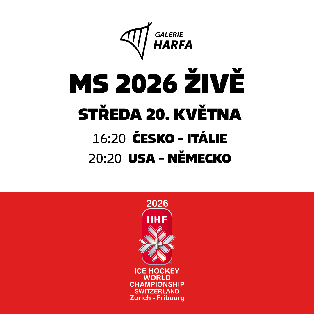 MS V HOKEJI 2026 - PROGRAM 20. 5.
