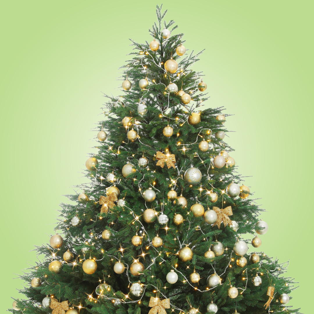 PRODEJ VÁNOČNÍCH STROMKŮ