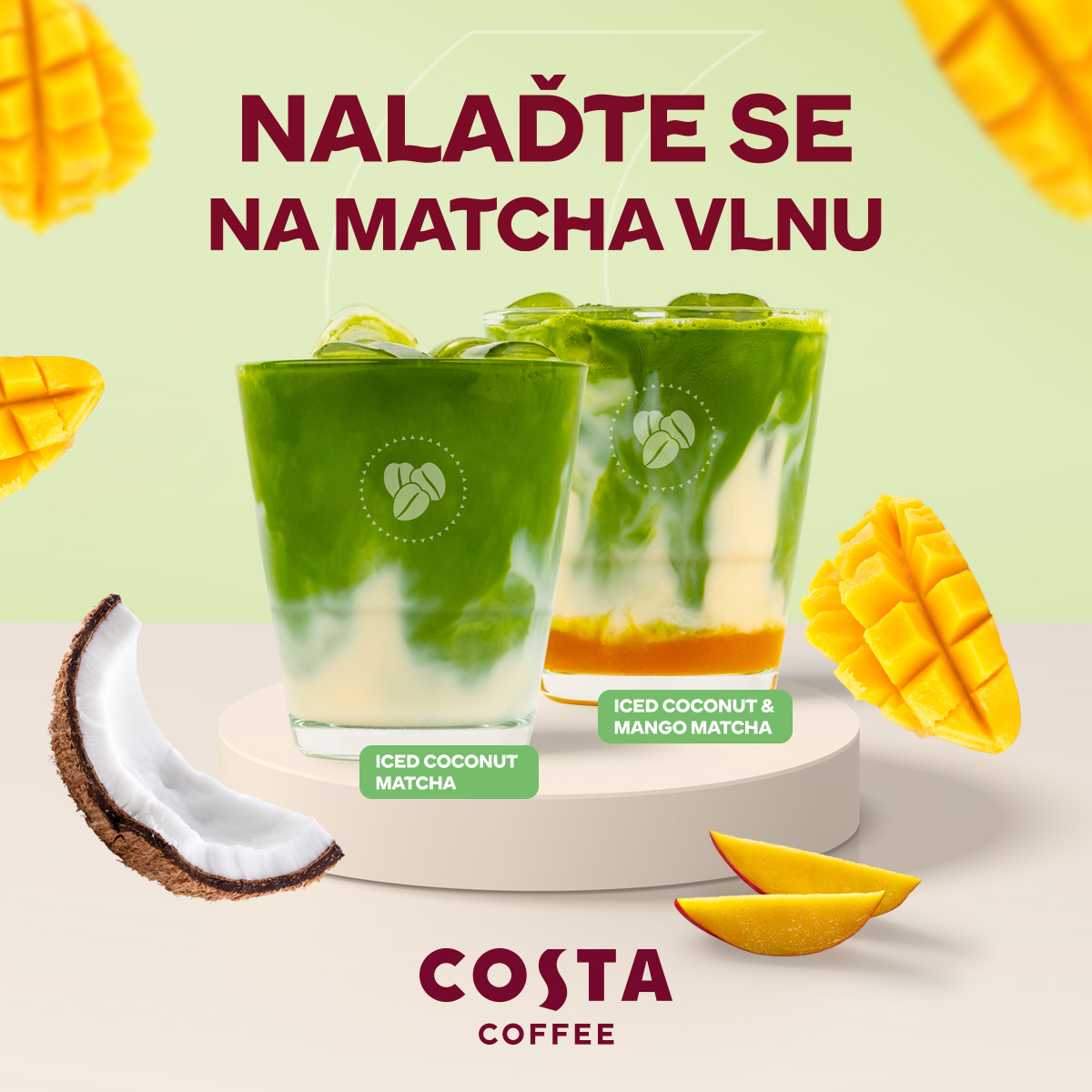 MATCHA NOVINKY