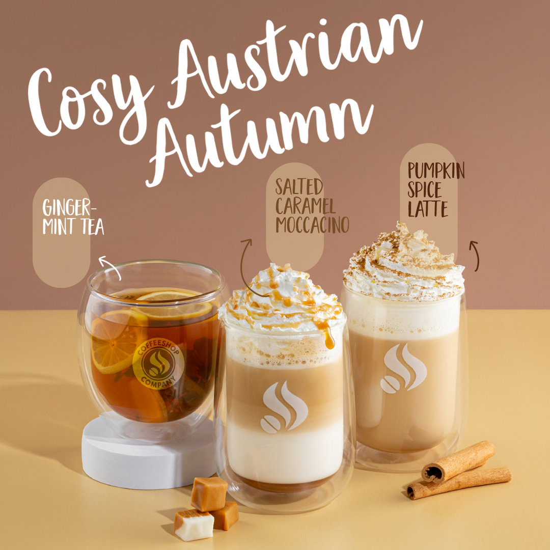COZY AUSTRIAN AUTUMN