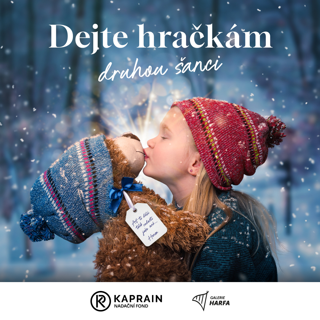 DEJTE HRAČKÁM DRUHOU ŠANCI