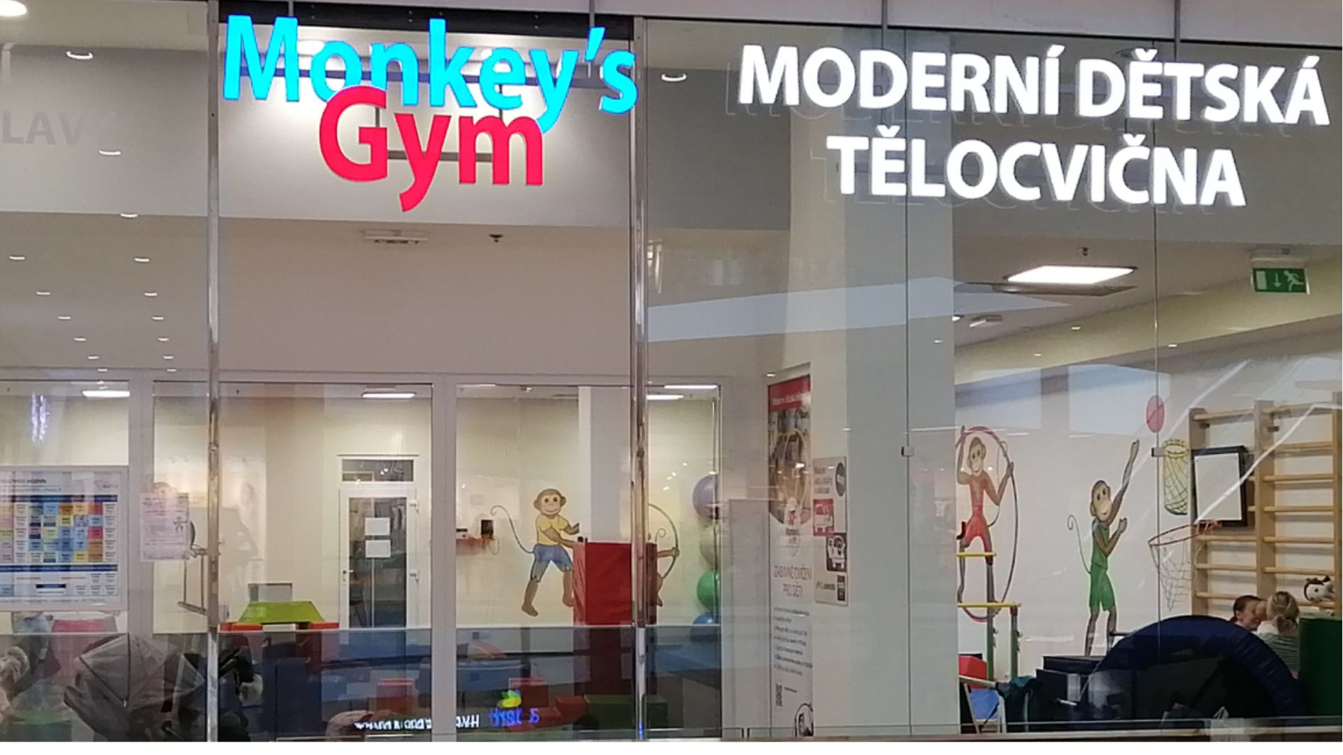 MONKEY'S GYM