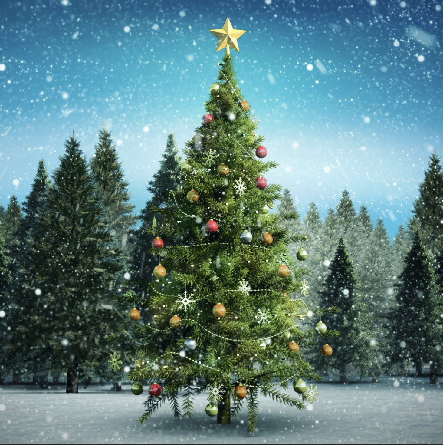 VÁNOČNÍ LES NA HARFĚ