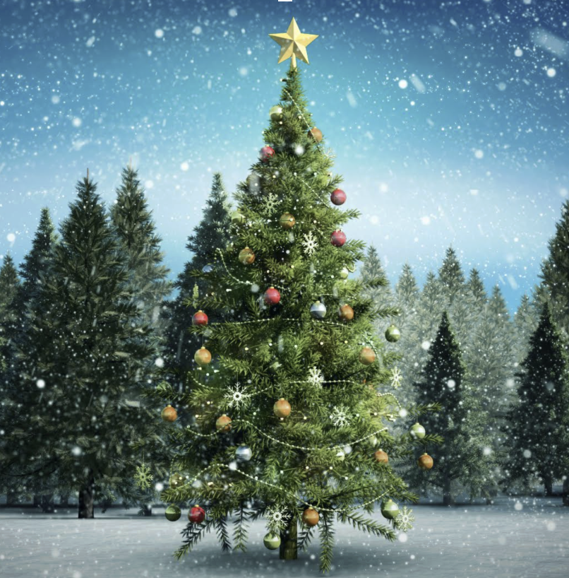 VÁNOČNÍ LES NA HARFĚ